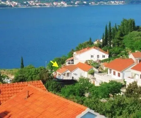 Petar *