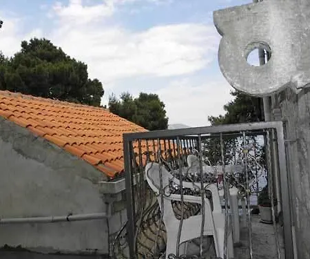 Petar * קורצולה